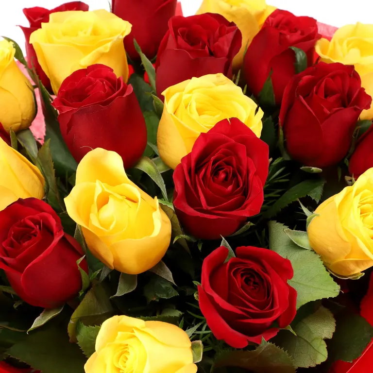 Incredible-Gift-Combo-roses-768x768-1.webp