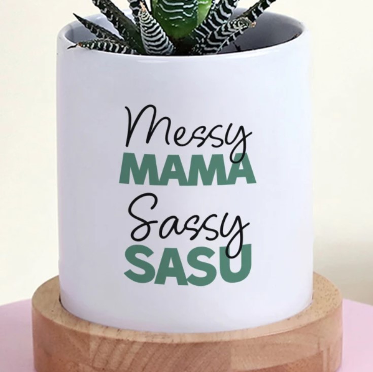 Mothers-Day-Splendid-Haworthia-Duo-in-Planter-3.jpg