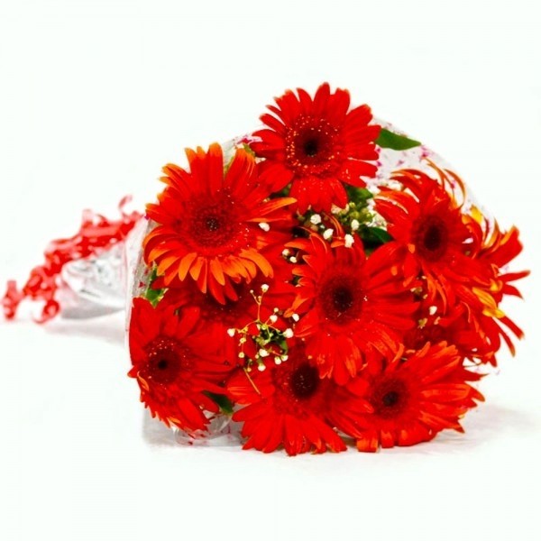 gerbera_bouquet.jpeg