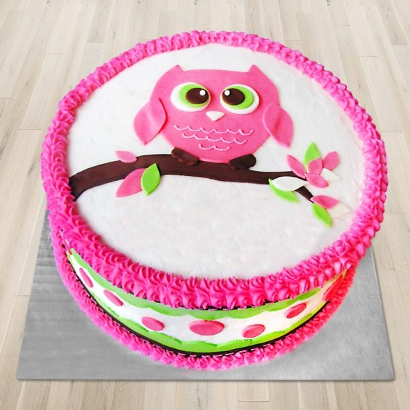 pinkie-the-owl-cake-9992120ct-190218.jpg