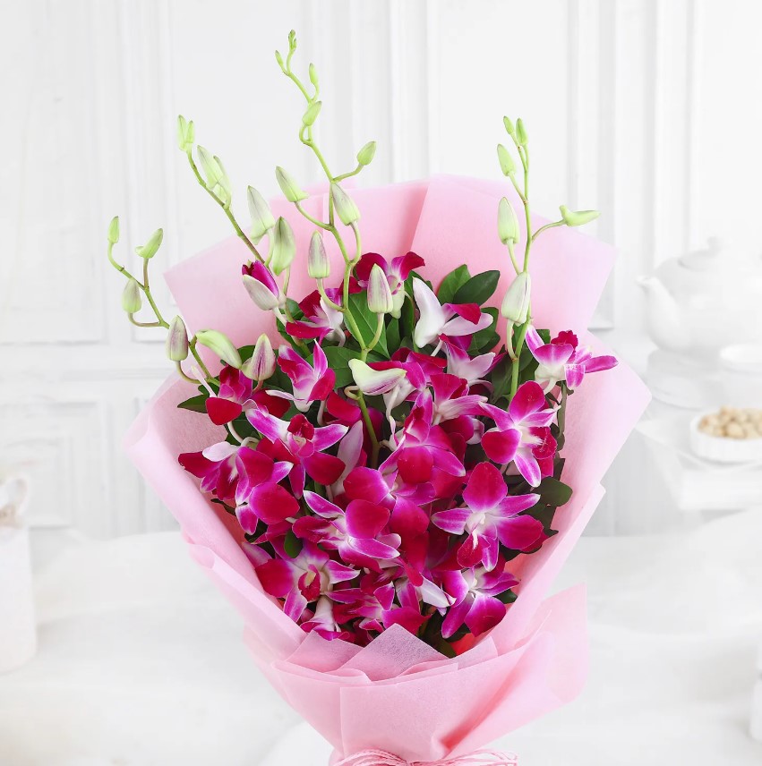 Lavender Dreams & Forest Bliss Combo 1