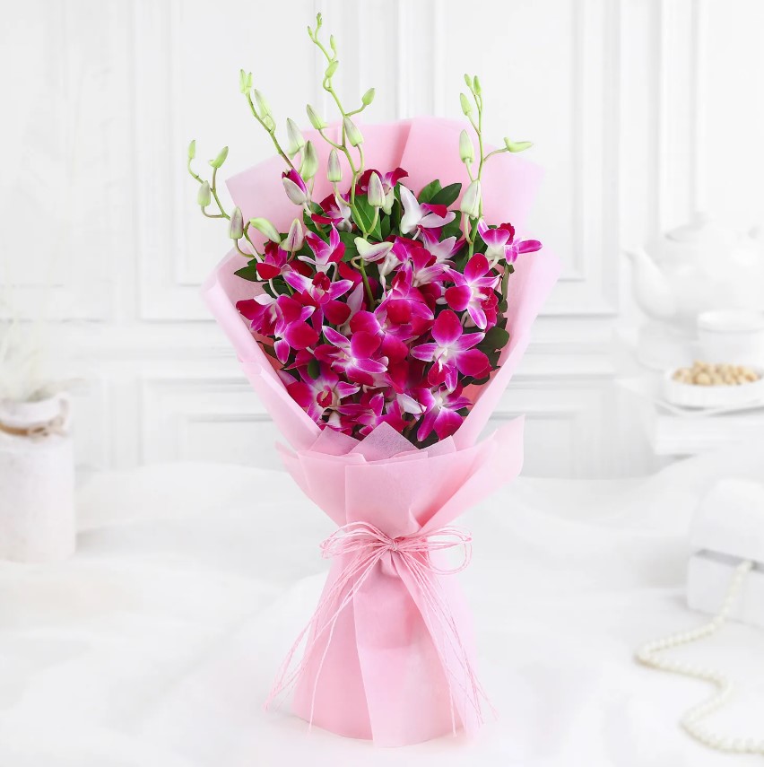 Lavender Dreams & Forest Bliss Combo 2