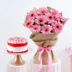 A beautiful bouquet of pink gerberas with a rich red velvet cake, perfect for celebrations, anniversaries, and heartfelt moments.