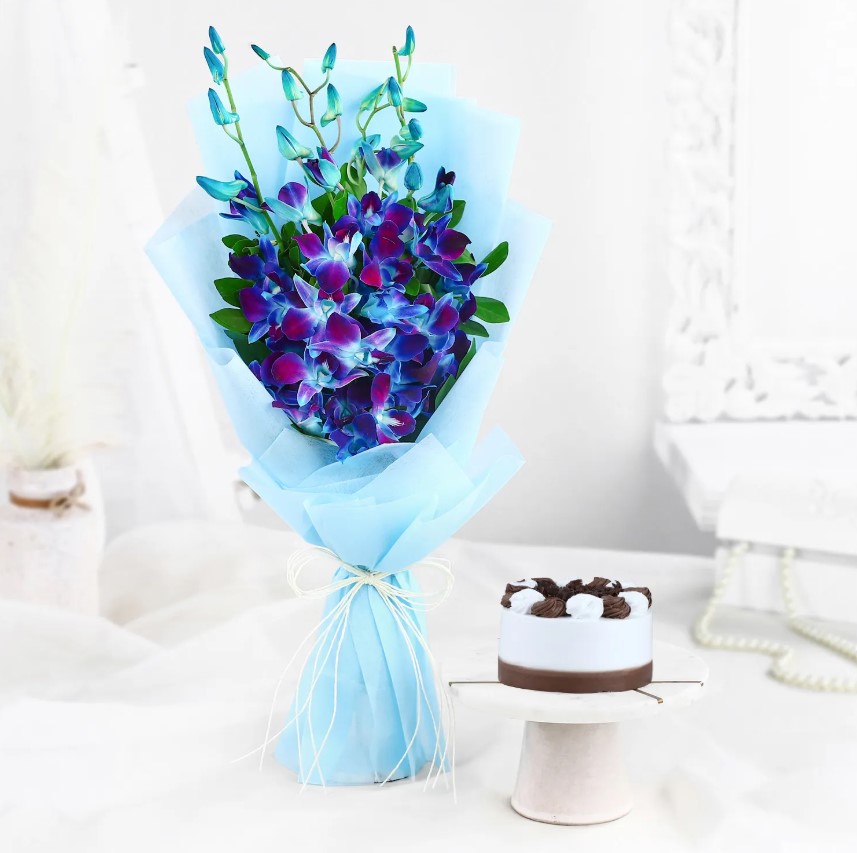 Timeless Orchids & Decadent Black Forest Cake Elegant Blue Orchids paired with a rich Black Forest Cake, an ideal gift for special occasions and celebrations.